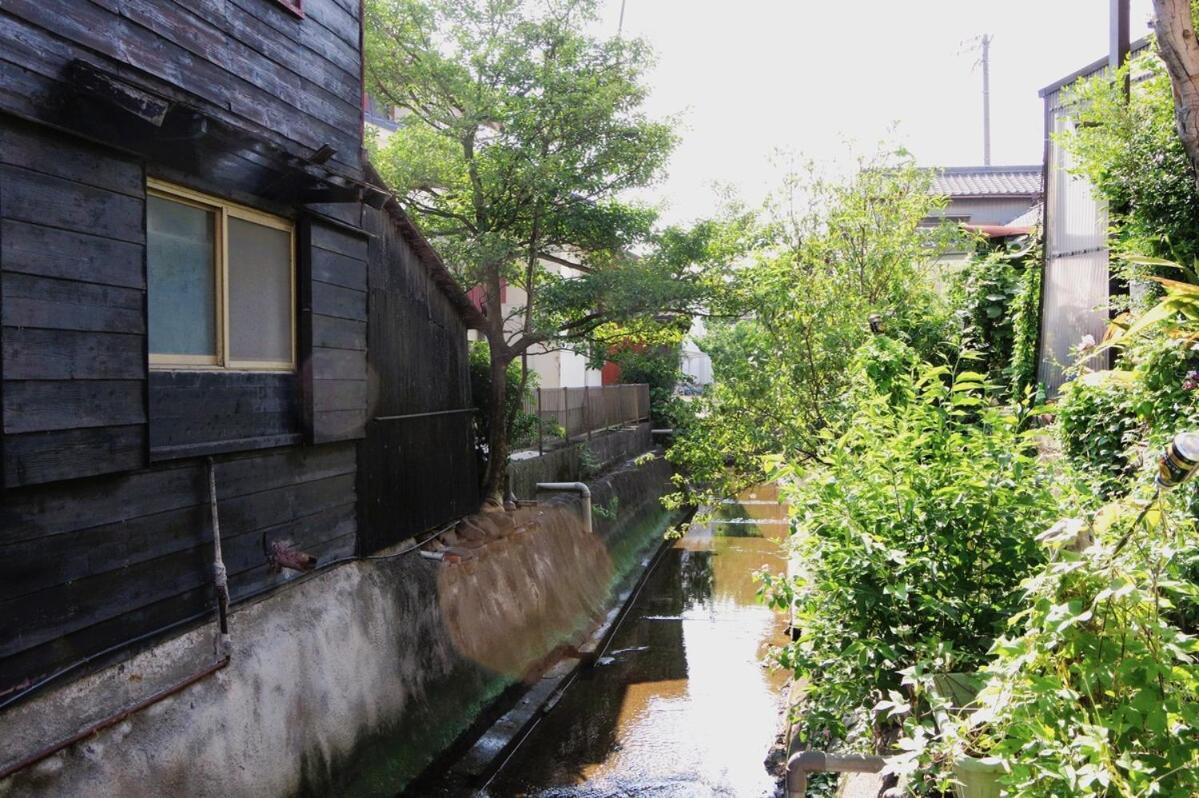 宿たぬきのねどこ Guesthouse Tanuki Chubu Exterior foto
